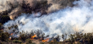 Highland fire in Riverside County is 100% contained