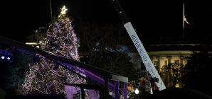 The National Christmas Tree Fell Over. Insert Metaphor Here.