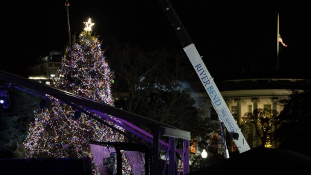 The National Christmas Tree Fell Over. Insert Metaphor Here.