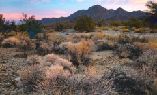 Why California needs the Chuckwalla National Monument and Joshua Tree extension