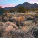 Why California needs the Chuckwalla National Monument and Joshua Tree extension
