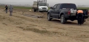 Work continued after a woman was killed in a carrot field.
