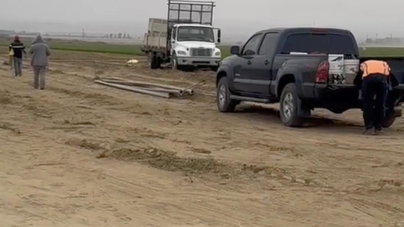 Work continued after a woman was killed in a carrot field.