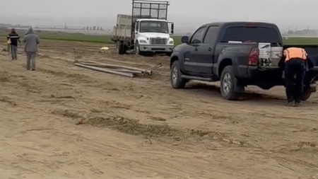 Work continued after a woman was killed in a carrot field.