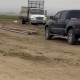 Work continued after a woman was killed in a carrot field.