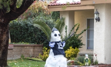 Antelope Valley facing hard freeze warning