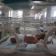 Muslim Group Demands Biden ‘Intervene’ as Newborns Die at Gaza Hospital