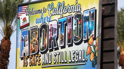 Planned Parenthood, reproductive healthcare could receive $90 million in new state funding