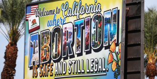 Planned Parenthood, reproductive healthcare could receive $90 million in new state funding