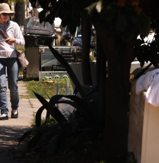 She’s a housekeeper with a side job: cleaning the trashed streets of her own neighborhood