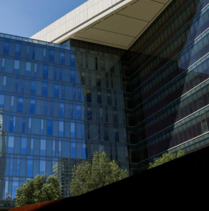 Operations director of Santa Monica nonprofit found dead alongside wife