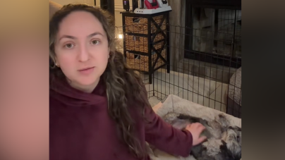 Woman Thought Lost Dog Was Gone Forever—Five Years Later Gets a Call