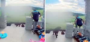 Doorbell Cam Captures Moment Delivery Driver ‘Risked It All’ With Dog