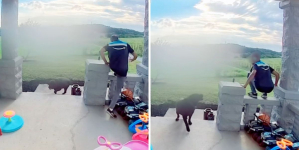 Doorbell Cam Captures Moment Delivery Driver ‘Risked It All’ With Dog