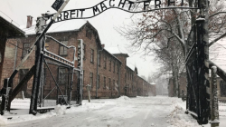Americans Arrested For Breaking Into Auschwitz