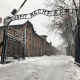 Americans Arrested For Breaking Into Auschwitz