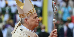 Pope Leo speaks out against cardinal ordering blessings for gay couples