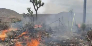 Four structures destroyed and one firefighter injured in SoCal fire
